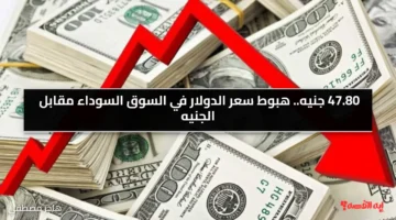 47.80 جنيه.. هبوط سعر الدولار في السوق السوداء مقابل الجنيه